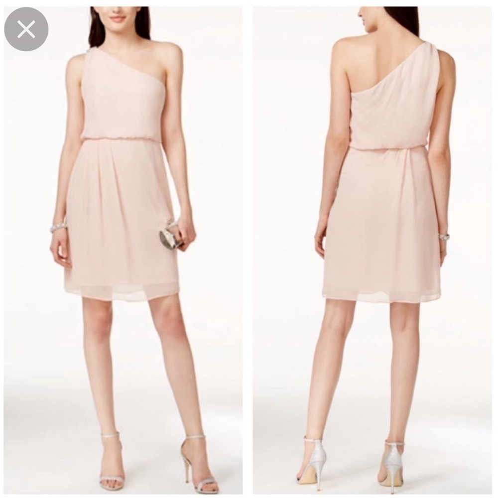 NWT Adrianna one shoulder chiffon dress